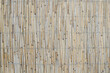 reed screen or bamboo garden fence background
