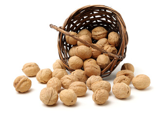 Wall Mural - walnuts on a white background