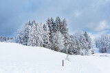 Fototapeta Na ścianę - Landschaft im Winter im Thüringer Wald in der Nähe von Schmiedefeld am Rennsteig