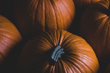 Wall Mural - Whole orange pumpkins