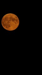 Wall Mural - Full Moon Rising in the Night Sky Timelapse Vertical Video