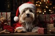 a dog wearing a santa hat sitting next to a pile of presents