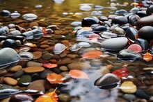 A Shallow River Flowing Over Smooth Pebbles