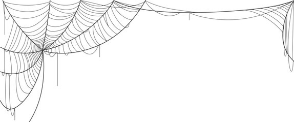 Wall Mural - spider web vector illustration, halloween background, halloween element design