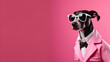 A dog dressed up in a cool jacket and tie.
Rocking glasses for that extra flair.
Posing on a pink backdrop, looking super chic.
Space on the right for your message , best for marketing and advertiseme