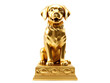 Golden dog award trophy, cut out. Award for first place in dog show