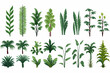 Rainforest vegetation set vector flat isolated vector style illustration