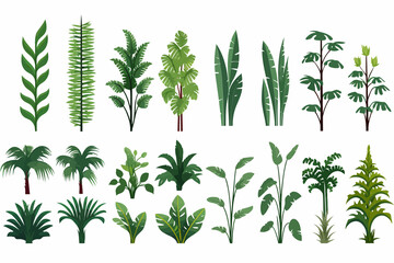 Wall Mural - Rainforest vegetation set vector flat isolated vector style illustration