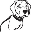 An illustration of a cute black-and-white puppy, possibly a beagle, pointer or cop dog, made in monochrome	
