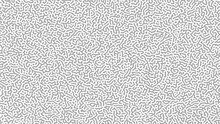 Gray Turing Seamless Turing Pattern Background. Reaction Diffusion Pattern Vector Seamless For Background And Artwork Design.