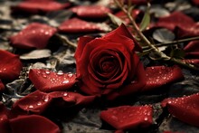 A Red Rose Rests On The Ground Amid Scattered Petals. Generative AI