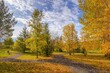 Autumn Colours In A Cochrane Park