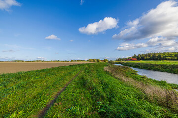 Wall Mural - Beautiful nature landscape view. Small river along agriculture field merging with blue sky. Sweden.