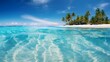 Panoramic view of a tropical beach with palm trees and turquoise water