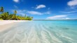 Panoramic view of a beautiful caribbean beach with palm trees