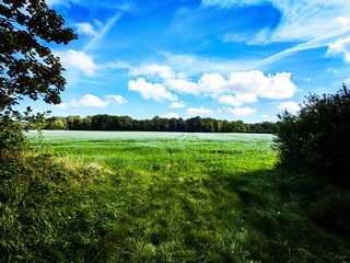 Wall Mural - landscape with lake