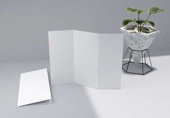 a blank trifold brochure with 2 fold brochure and plant including paper texture and concrete background, great for mockups.