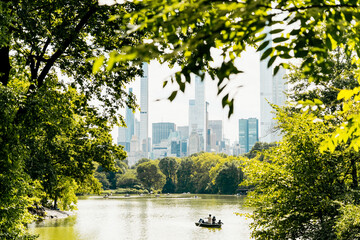 Wall Mural - The view of New York City's skyline seen through the trees of Central Park in New York, USA.