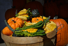 A Collection Of Brightly Colored Gourds. The Vegetables Are Orange, Yellow, And Green In Color. The Flesh On The Decorative Squash Is Speckled, Hard, And Lumpy With Bumps On The Outer Skin. 