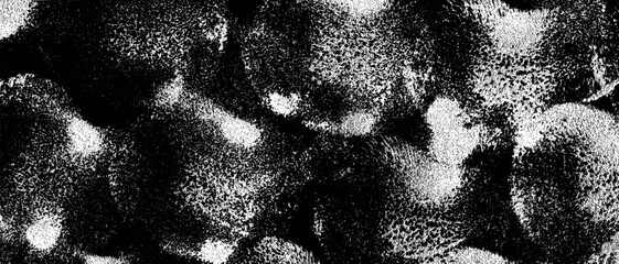 Wall Mural - gritty grain texture. random speckles or specks noise paper. retro grunge granular vector illustrati