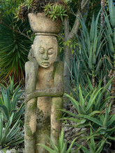 Stone Flower Pot Sculpture In Garden With Succulent Plants