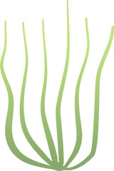 Vector Illustration Green Leaves