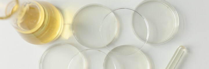 Wall Mural - Lab glassware flask and Petri dishes on table in office