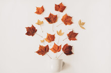 Flatlay Of Fall Leaves Falling Into Coffee Mug On White Background