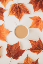 Top View Of Cup Of Coffee Surrounded By Fall Colorful Maple Leaves