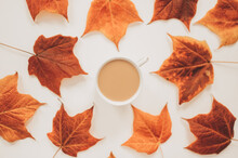 Flaylay Composition Of Colorful Autumn Leaves On White Background