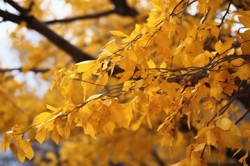 Poster - leaves rustling on a tree in the wind