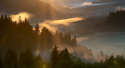 Wall Mural - beautiful sunrise in the picturesque mountains. picturesque mists rolling in the valleys illuminated