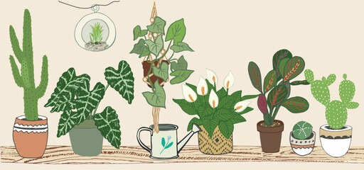 Wall Mural - Home plants with pots vector illustrations set.