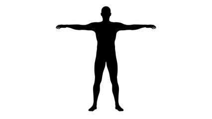 Silhouette of a beautiful young athletic man standing with arms up, transparent background. 3d illustration (rendering).