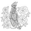 Cockatoo and cute flowers hand drawn for adult coloring book
