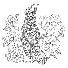 Cockatoo And Cute Flowers Hand Drawn For Adult Coloring Book