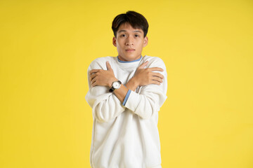 Wall Mural - Portrait of young Asian man wearing sweater and posing on yellow background