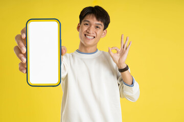 Wall Mural - portrait of young Asian man wearing sweater and using phone on yellow background