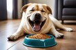 dog eating a bowl of food