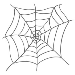 spider and web