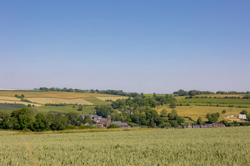 Wall Mural - Summer landscape, The terrain of hilly countryside in Zuid-Limburg, Farmland with barley (gerst) Hordeum vulgare or Wheat on hillside and tree, Small villages in Dutch province of Limburg, Netherlands