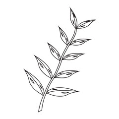 Sticker - Eucalyptus oil leaf icon