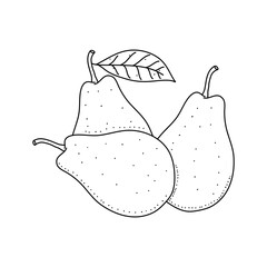 Wall Mural - Doodle pears, black outline on a white background. Linear vector drawing isolated on white background