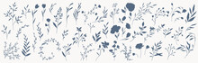 Set Of Elegant Silhouettes Of Flowers, Branches And Leaves. Thin Hand Drawn Vector Botanical Elements