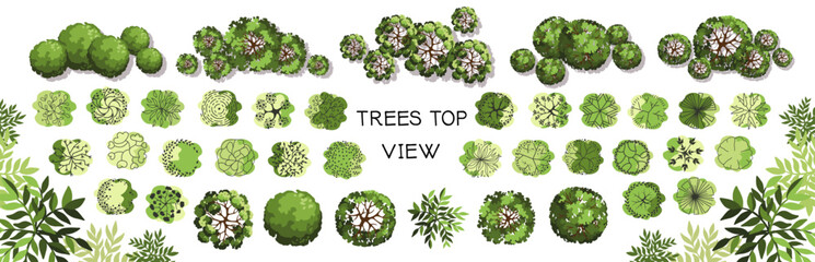 Tree for architectural floor plans. Entourage design. Various trees, bushes, and shrubs, top view for the landscape design plan. Vector illustration.