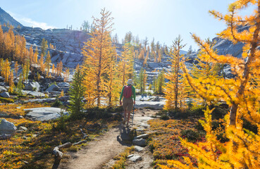 Sticker - Hike in autumn season