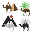 Kamel und Pyramide