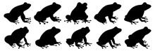 Frog Silhouettes Set, Large Pack Of Vector Silhouette Design, Isolated White Background