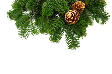 christmas tree branch and golden cones isolated on white transparent, xmas spruce, green fir pine tw