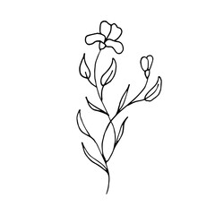 Wall Mural - illustration of a flower hand drawn